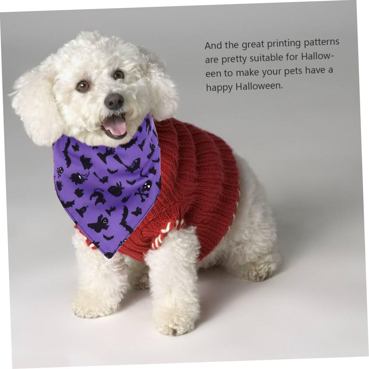 BESTonZON 6 Pièces Set de Bandanas pour Chien Respirant Écharpes Triangle Halloween avec Motifs Citrouille et Crâne Accessoires Cosplay pour Chiens Confortables et Faciles à Porter pour et