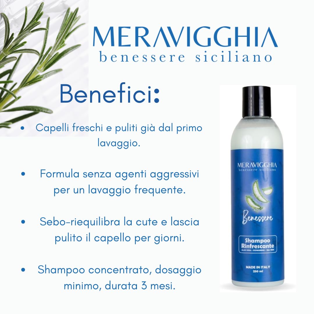 Shampoo Capelli Grassi Sebo-Regolatore al Rosmarino, Aloe e Menta - Cute Pulita e Rinfrescata dal primo lavaggio - Made in Italy - 250 ml