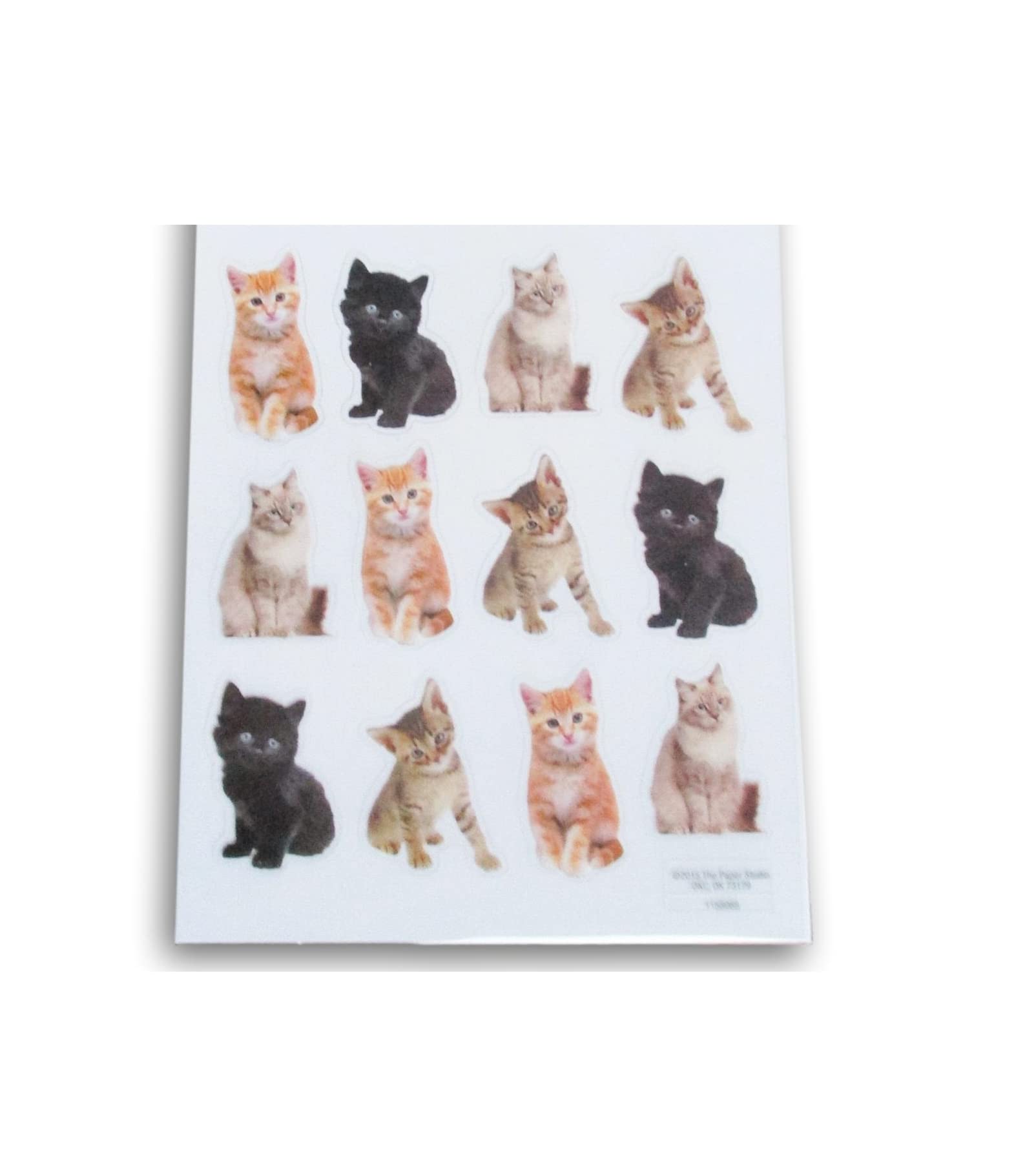 Kitten Stickers - Realistic Photographic Cats Adhesive Decals for Crafts, Cardmaking, Scrapbooks- 24 Pc