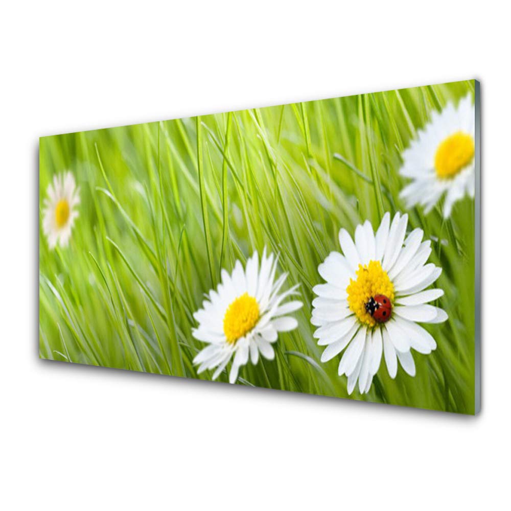 Tableau en verre trempé 100x50 cm Tulup déco marguerites