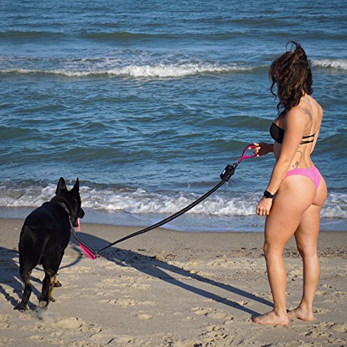 Black Rhino Dog Leash - Heavy Duty - Medium & Large Dogs | 6ft Long Leashes | Two Traffic Padded Comfort Handles for Safety Control Training - Double Handle Reflective Lead - (Pink) - Thumbnail 3