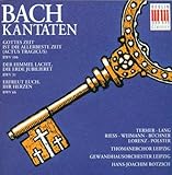  Der Himmel lacht, die Erde jubilieret, BWV 31: No. 4, \
