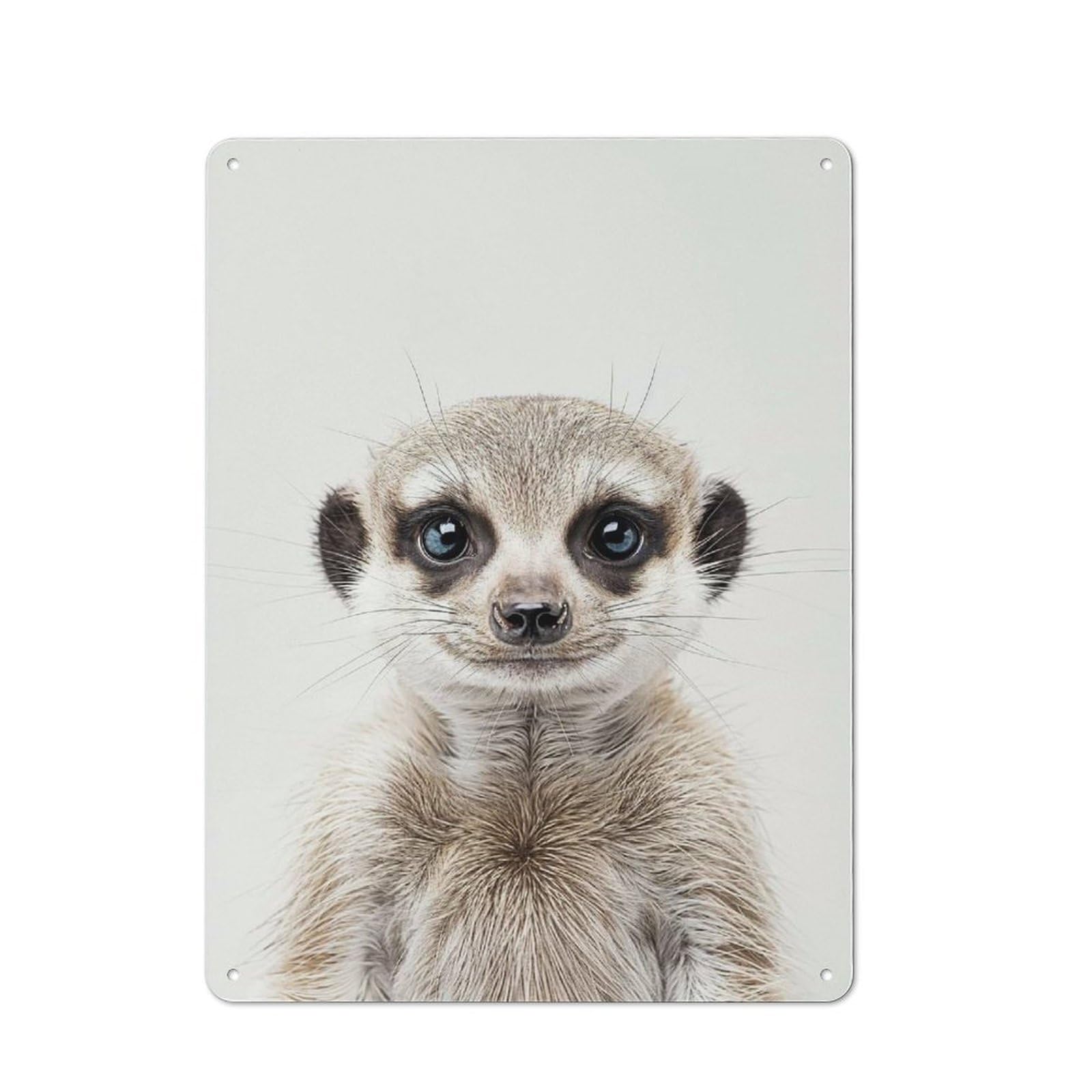 Junmoney Style-1 Tin Wall Sign With Cute Baby Meerkat Design 40X30cm, Classic Kitchen Wall Decor For Restaurant, Kitchen, Counter Or Breakfast Nook