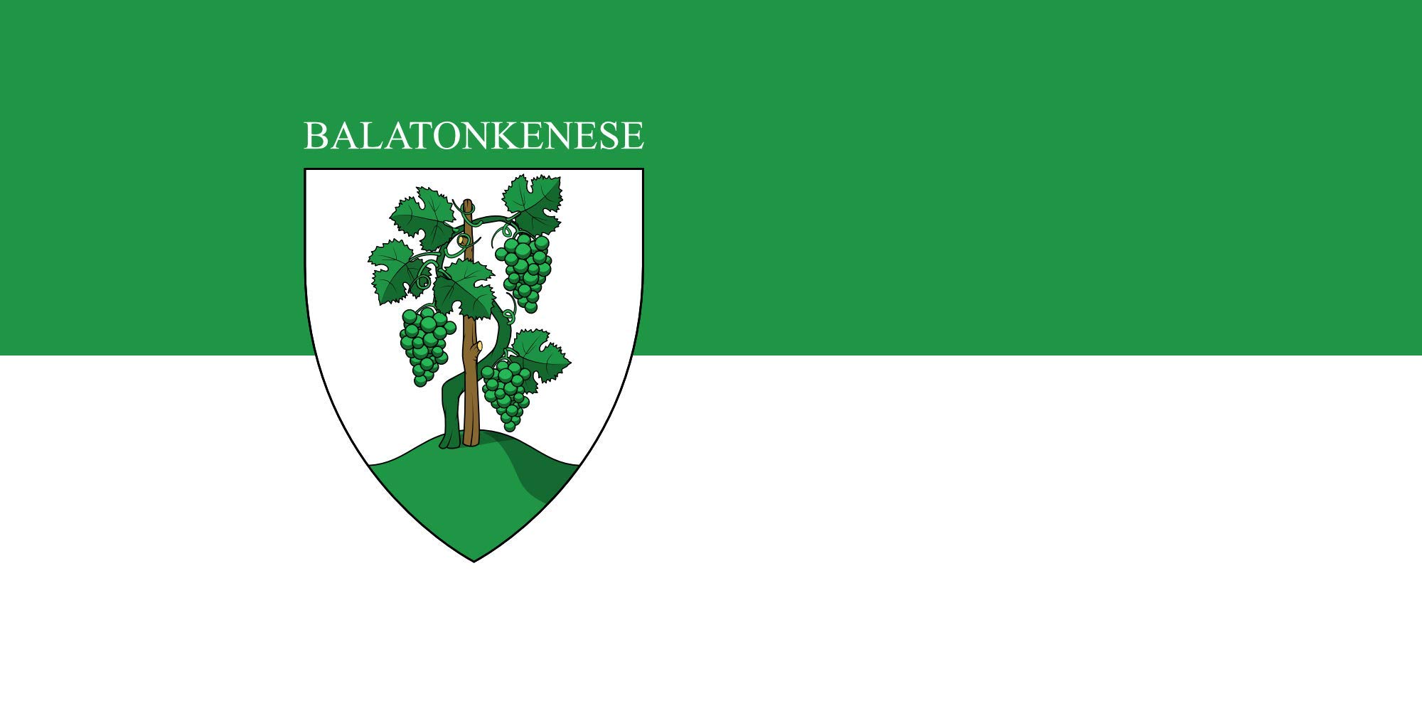 Drapeau Large Balatonkenese pour décorer vos événements extérieurs de 1.35m²