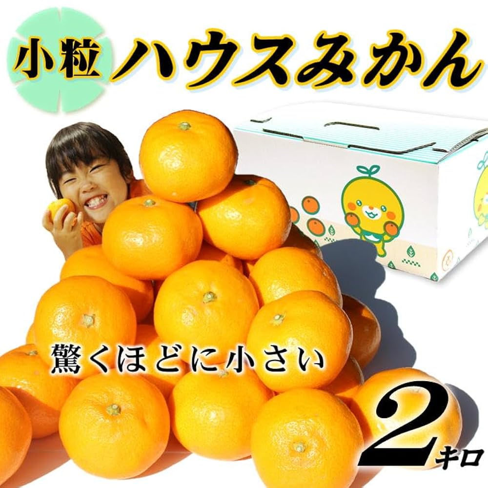 がんぺいちゃん専用 Amazon.co.jp: NB 1kgカラフルこんぺいちゃん 約1000粒 : 食品