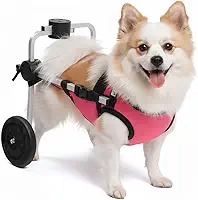 Cadeira de 2 Rodas Para Cachorro Tam PP com Colete Rosa Ajustável Pata Traseira Paraplegia Reabilitação Paralisia Idoso Pet Best Soluções