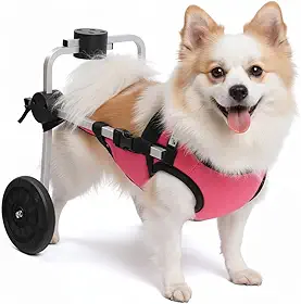 Cadeira de 2 Rodas Para Cachorro Tam PP com Colete Rosa Ajustável Pata Traseira Paraplegia Reabilitação Paralisia Idoso Pet Best Soluções