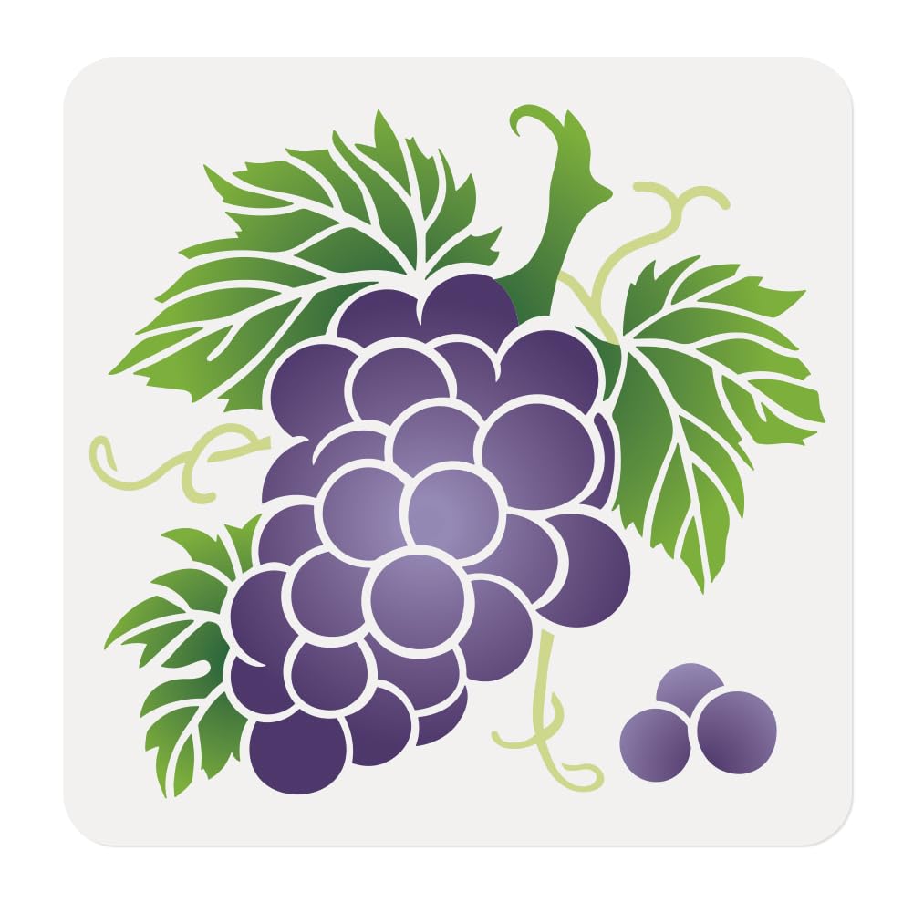 DOODLREAM Grape Fruit Craft Stencil for Drawing 30 x 30cm Reusable Plastic Grape Stencils for Painting on Wood Wall Fabric Furniture DIY Home Decor Craft Stencil