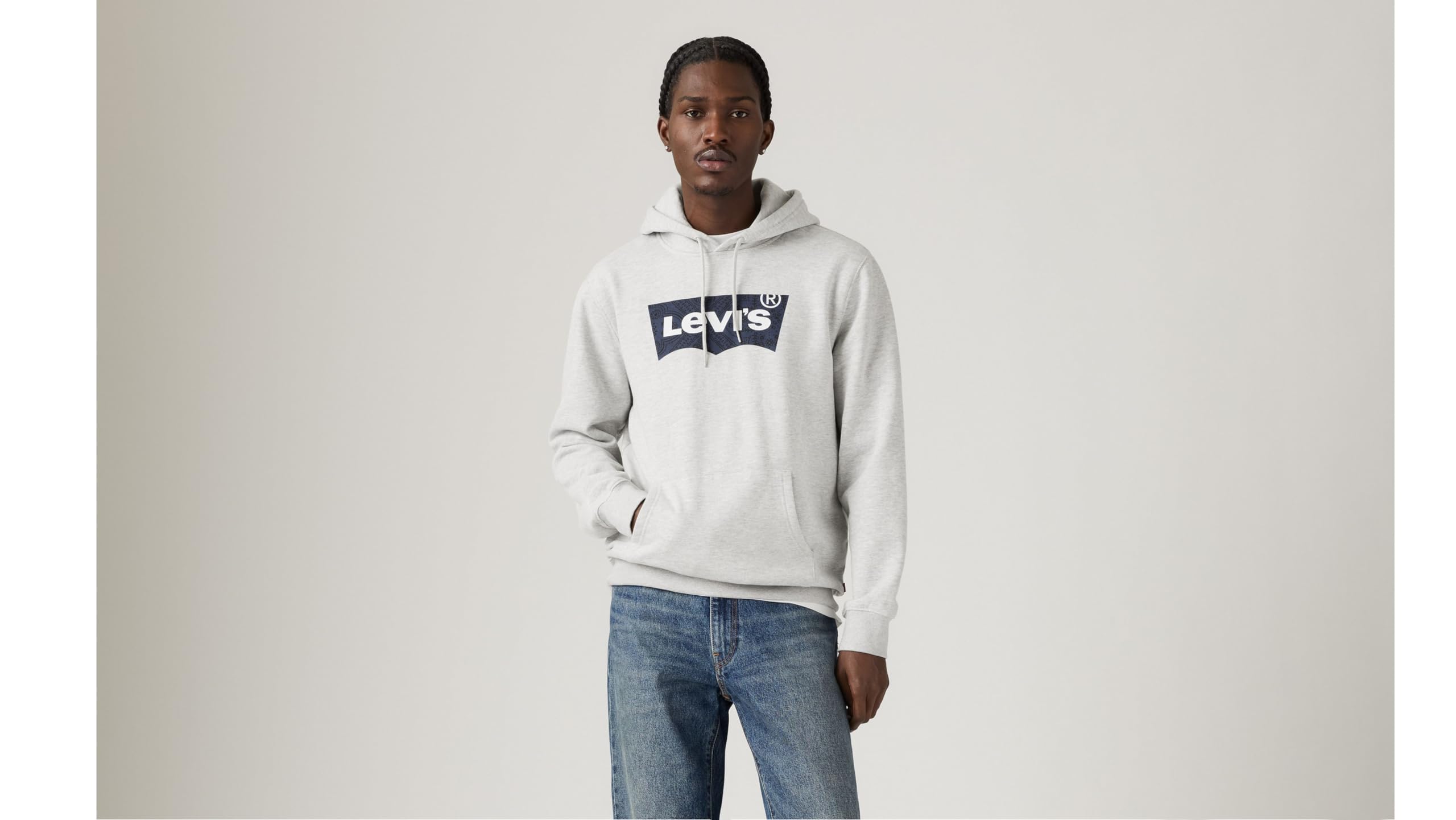 Levi's Standard Graphic Hoodie Sweatshirt Erkek