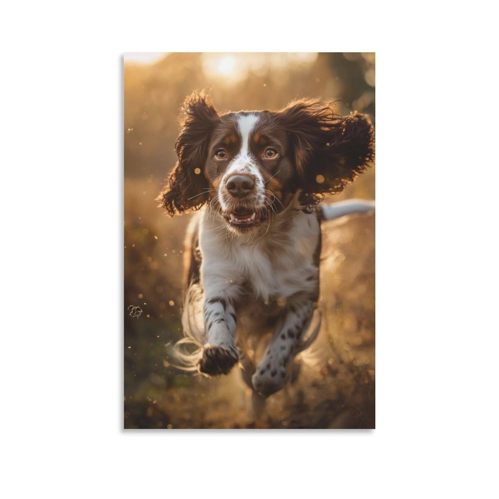 Dhbaneiok Unframe-Style-4 English Springer Spaniel Paintings Canvas Wall Art Bedroom Wall Decor Canvas Prints Artwork For Living Room Wall Decorations Home Decor 24X36inch(60X90cm)
