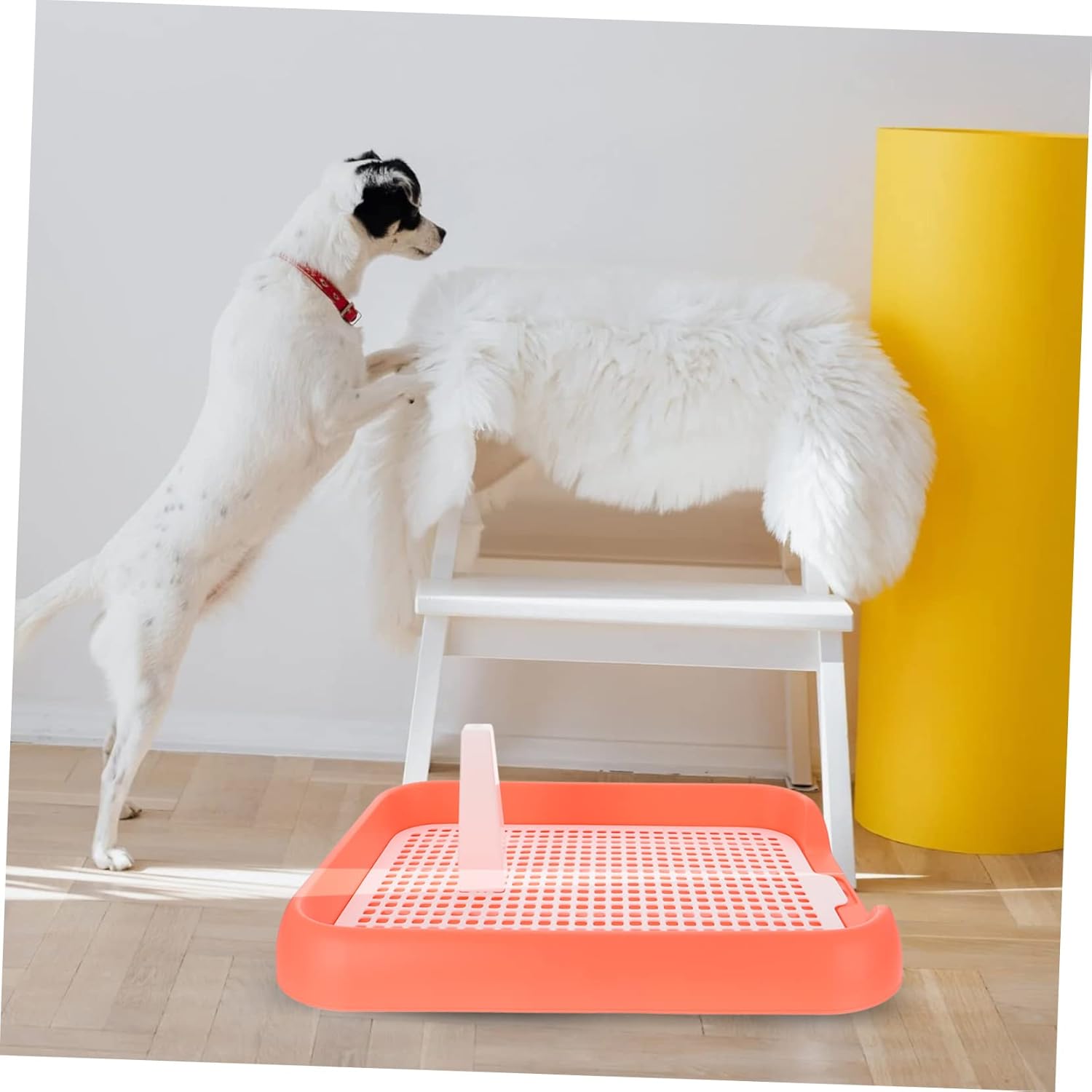 High-Class Pp Material Mesh Dog Toilet -Slip Design Easy to Use Indoor Puppy Potty