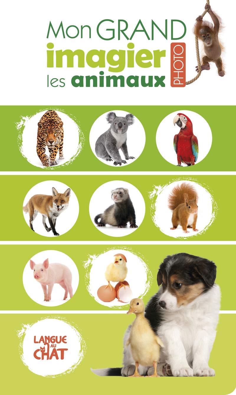 Les animaux - Mon grand imagier photo - Eveil - Dès 6 mois