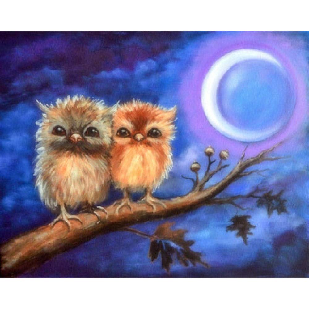 Peinture diamant 5D hibou en couple broderie mosaïque carrée 40x50 cm