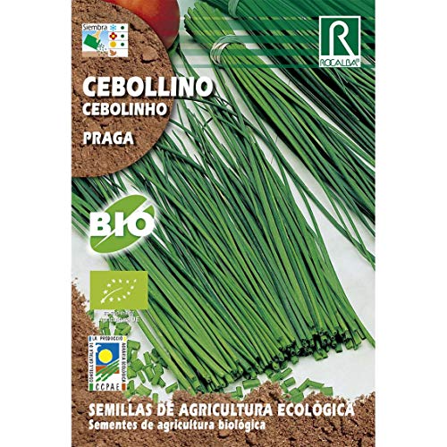 Semillas ecológicas de cebollino Praga