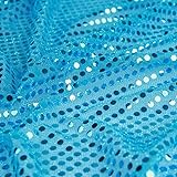 YYCRAFT Dot Sequins On Metallic Mesh Fabric by The Yard Seasonal Fabric 43' Wide 10 Yards, Decoration, Backdrop-Turquoise