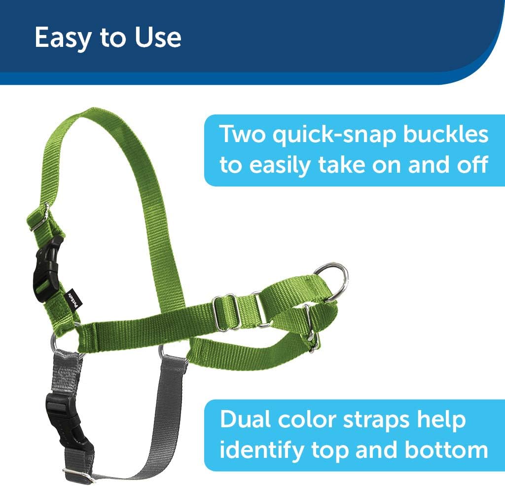 Easy Walk Harness, Medium/Large, Black (EWH HC M/L BLK) : Pet Halter Harnesses : Pet Supplies