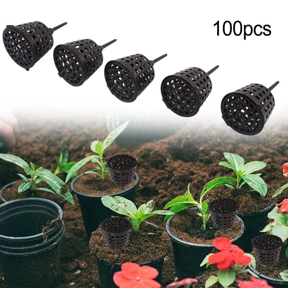 Paniers d'engrais pour bonsaï Lot de 100 avec couvercle, boîtes à libération lente pour plantes grasses