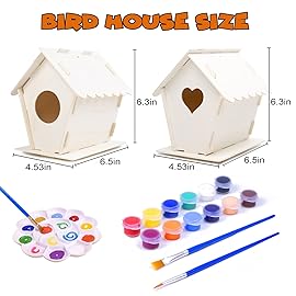 hapray 2 Pack Bird House Kit, DIY Birdhouse Kits, Wooden Crafts Arts for Children to Build and Paint (Includes Paints & Brushes) for Kids Girls Boys Toddlers Halloween Christmas Gifts