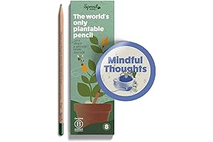 Sprout Pencils: Grow Life with Every Word