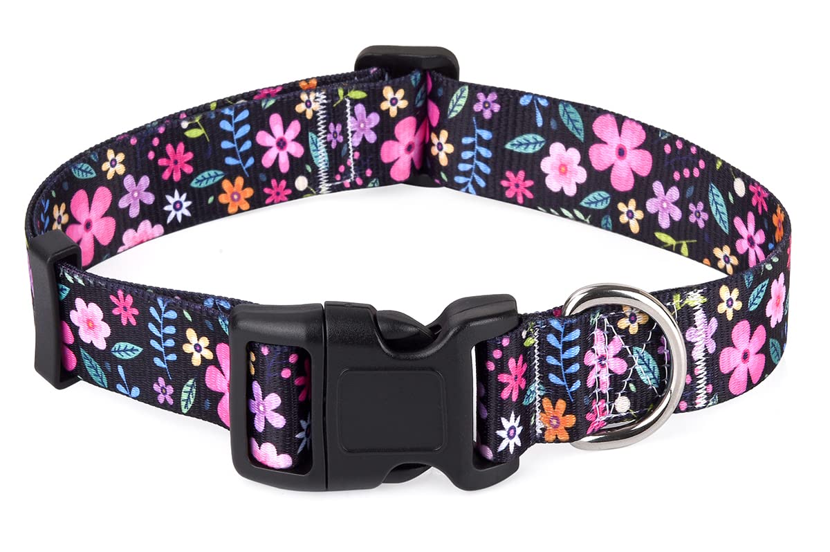 Collari per cani, morbidi e comodi collari imbottiti con fibbia in metallo, personalizzati con nome dell'animale domestico e numero di telefono (XS, floreale)