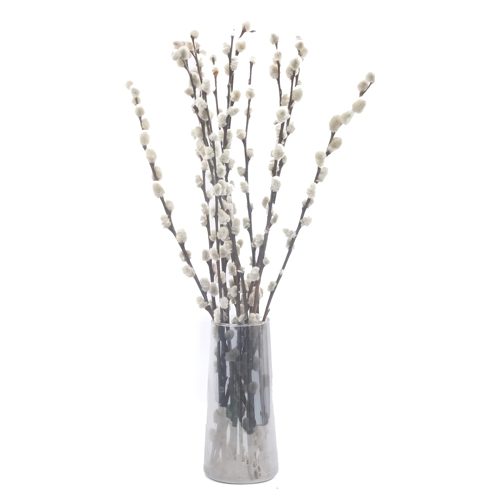 Lanmik 40 Stems 17.5 Inches 100% Real Natural Dried Pussy Willow Branches  for Vase Pussy Willows Dried Flowers Pussywillow for Home Decorations