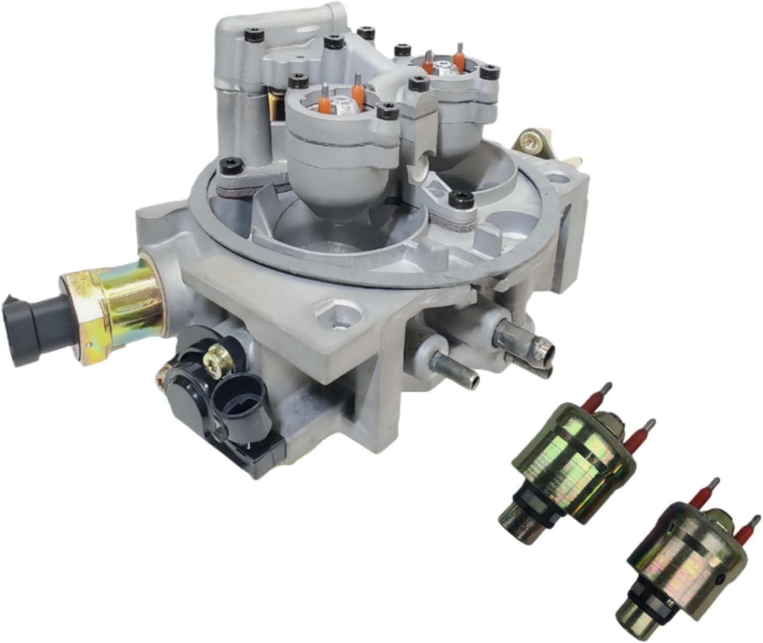 17093045 Throttle Body with Fuel Injectors (5235203 * 2) Kit Fits for Chevrolet 4.3L 1993-1995 RP TBI