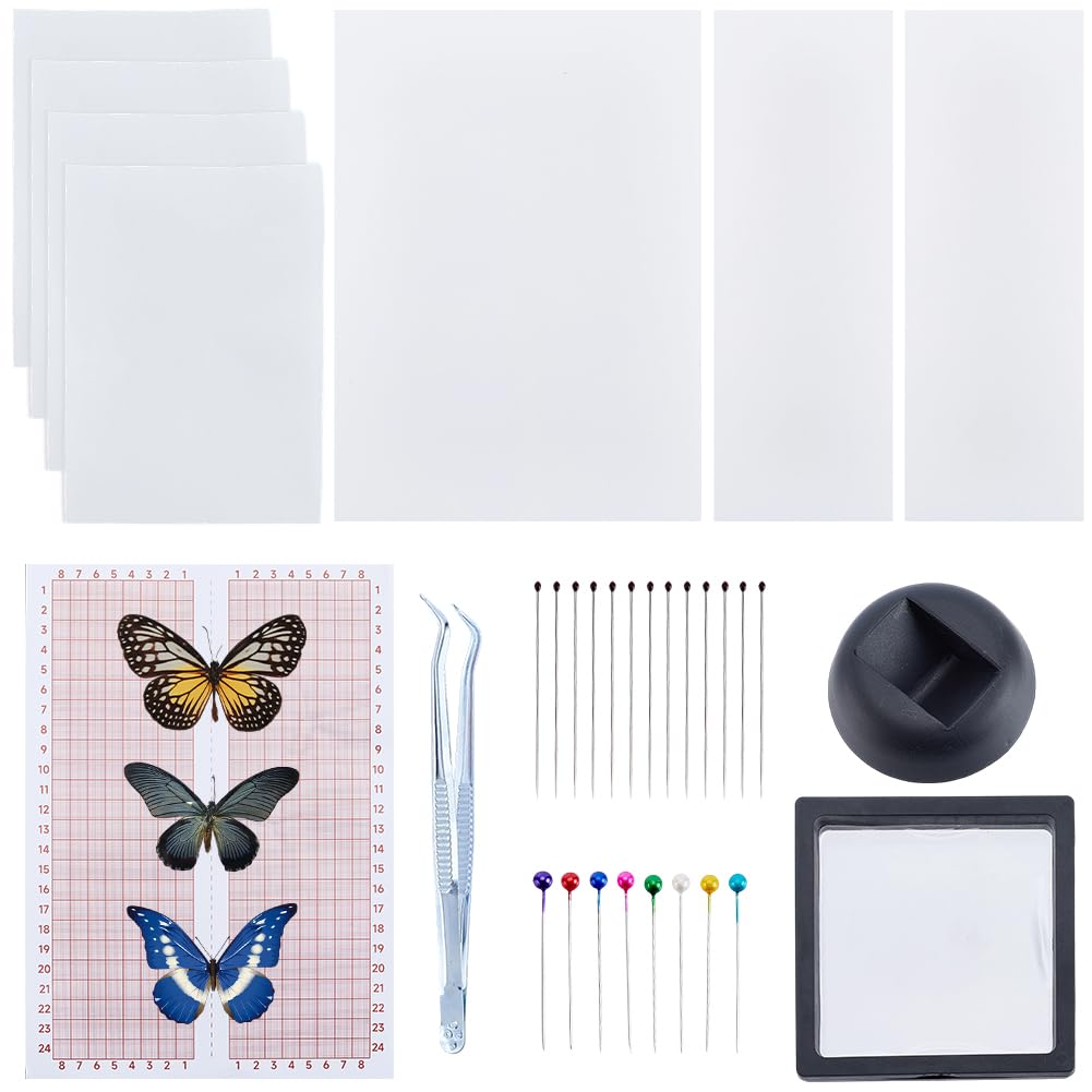 CRASPIRE Insektenpräparat Set Entomologie Präparatewerkzeug EVA Platte Stecknadel Pinzette Plastikbox Flügelpresspapier Präsentationswerkzeuge Set Zum Konservieren Und Präsentieren von Schmetterlingen
