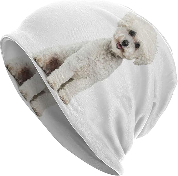 Amazon ビションフリーゼ犬 ニット帽 防寒 防風 保温 帽子 ストレッチ ニット帽 軽量 ワークキャップ サーモ ヘッド ラップ 通勤 自転車 スキー 男女兼用 ニット 通販