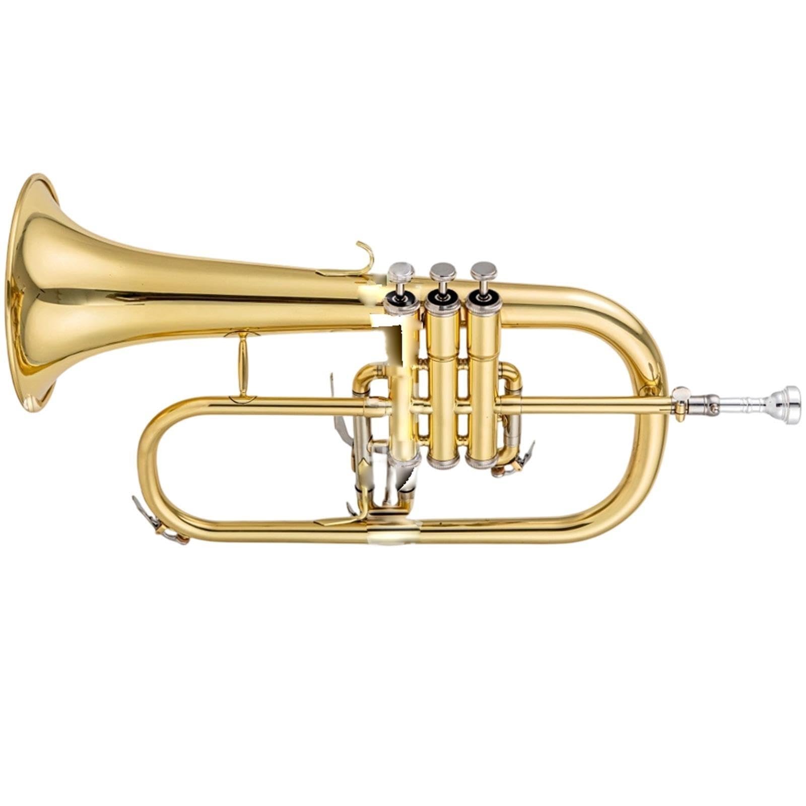 Standard Trumpet Trąbka Bb dla początkujących
