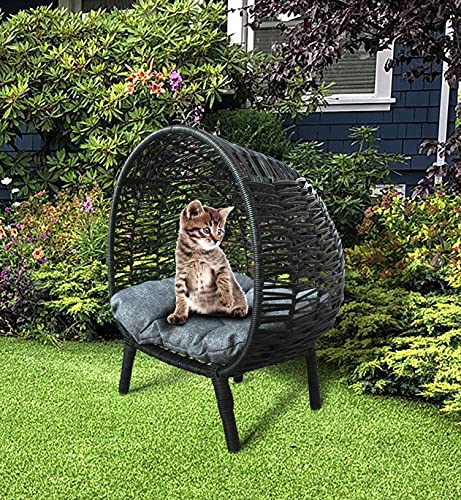 B.u.style Dog Beds For Medium Dogs, Elevated Bed For Dogs, Cats, Small And Medium Animals Outdoor- Indoor Used, Natural Soft And Comfortable Cushion, Kd Legs, Black Color, Medium: 21L X 18W X 25H #TOP6