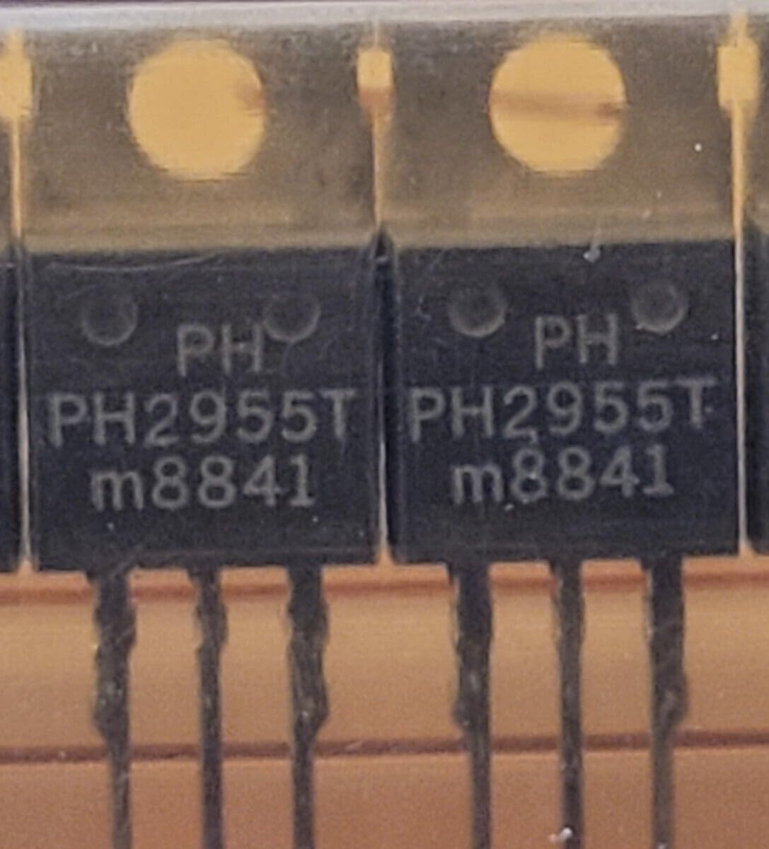 Generic (1 PC) PH2955T/N770J08841 Compatible with Philips