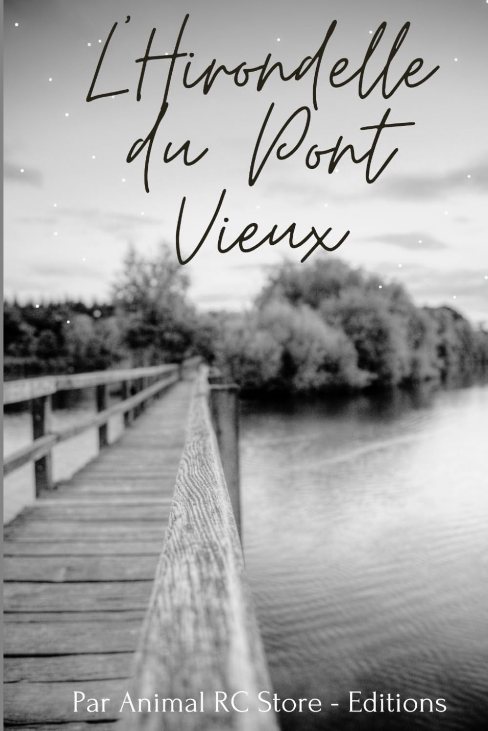 L’Hirondelle du Pont Vieux: Un roman sur la fidélité, le temps qui passe et le courage de rester… puis de partir.