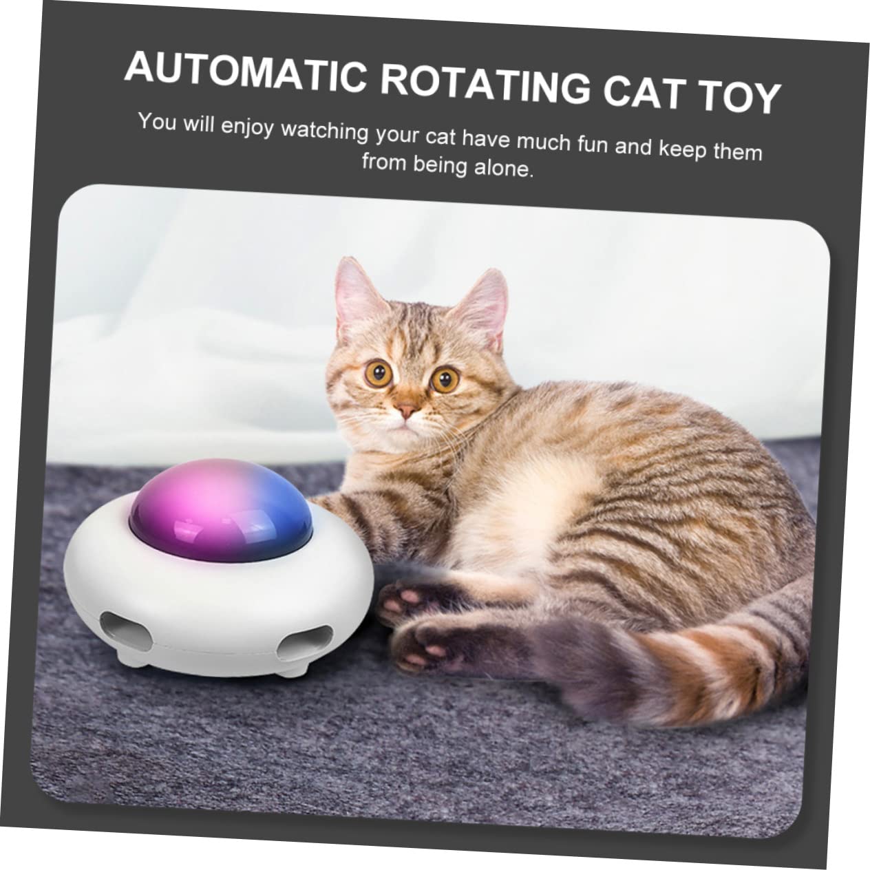 BESPORTBLE Automatisches Interaktives Katzenspielzeug Mit Rotierenden Federn Unterhaltsame Katzenbeschäftigung Für Drinnen Spielerisches Und Selbstunterhaltsames Katzenzubehör Fördert