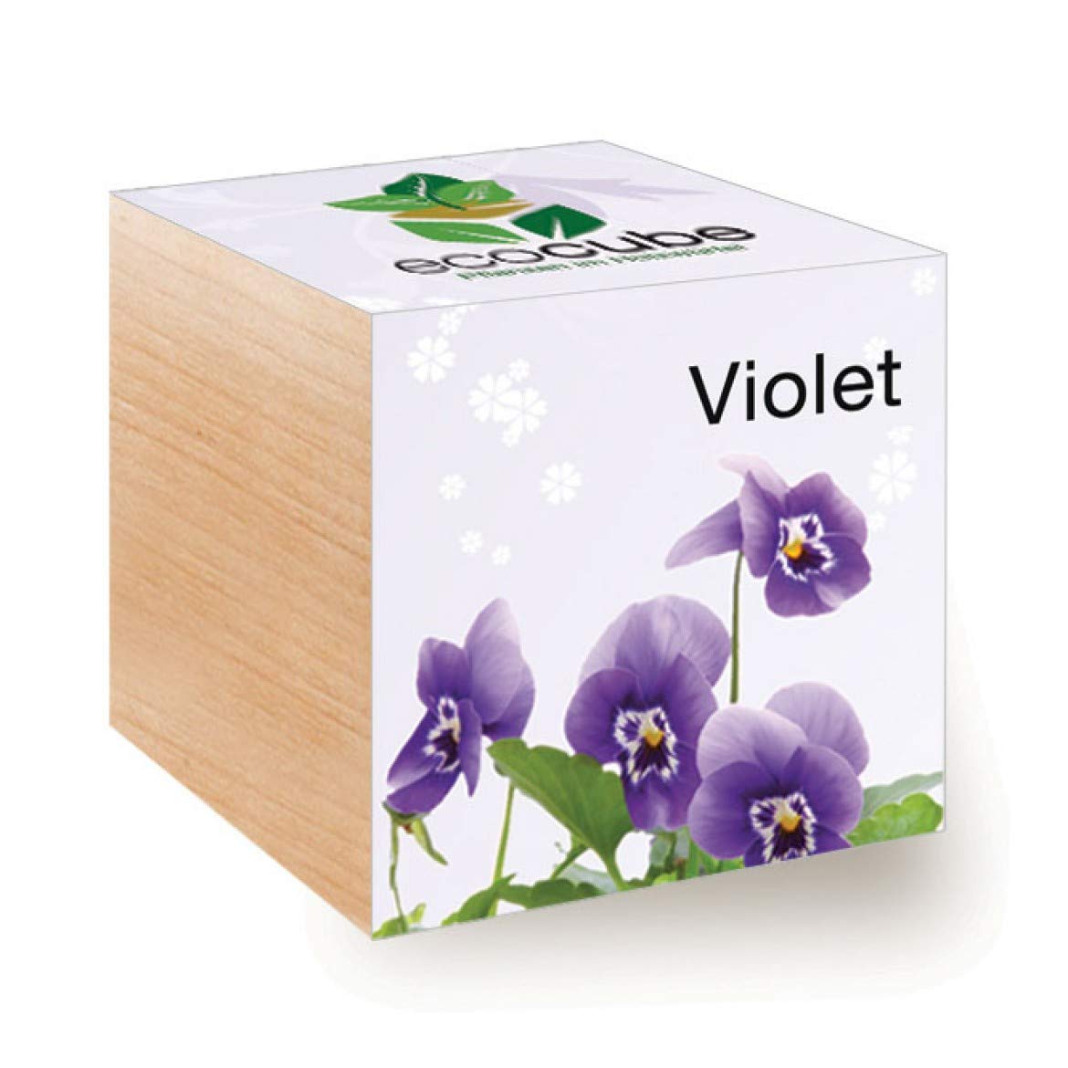 Feel Green - Ecocube Violet - Multi