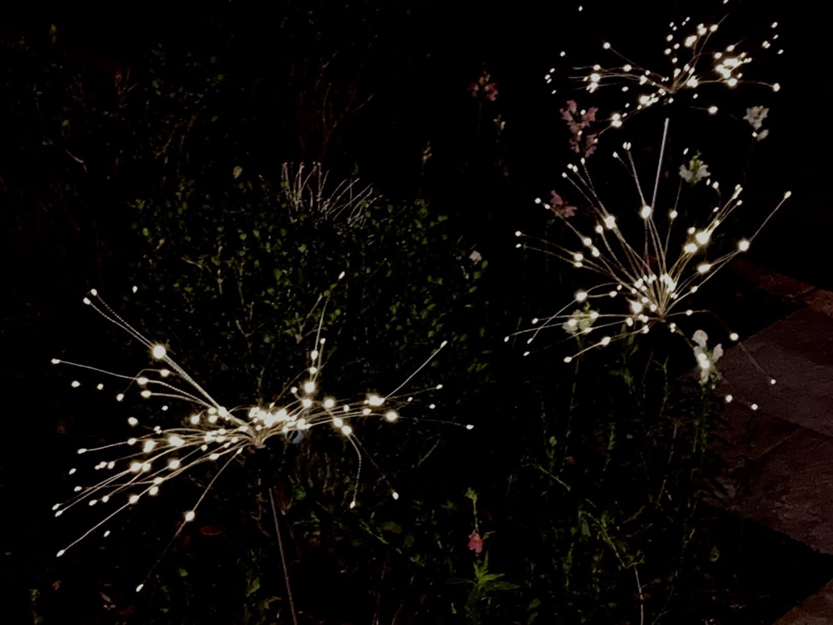 Foto del testimonio de Nicolás Rojas