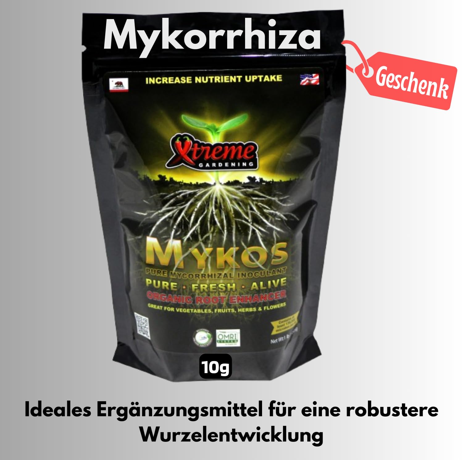 Biobizz Dünger Set | Pflanzendünger Starterset GrowSet Indoor | Naturdünger | Flüssiger + Calmag