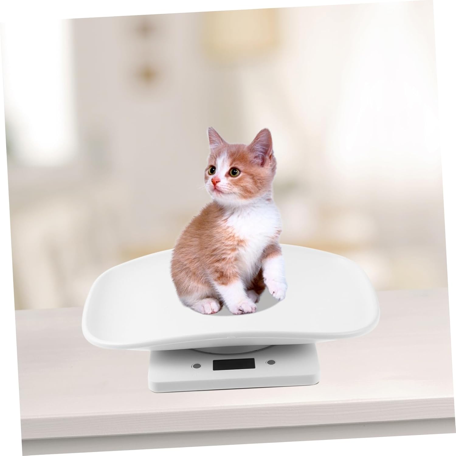 Digital Pet Weight Scale for Dogs and Puppies Electronic Scale Tray Kitten Measurement Pet Supplies for Weighing
