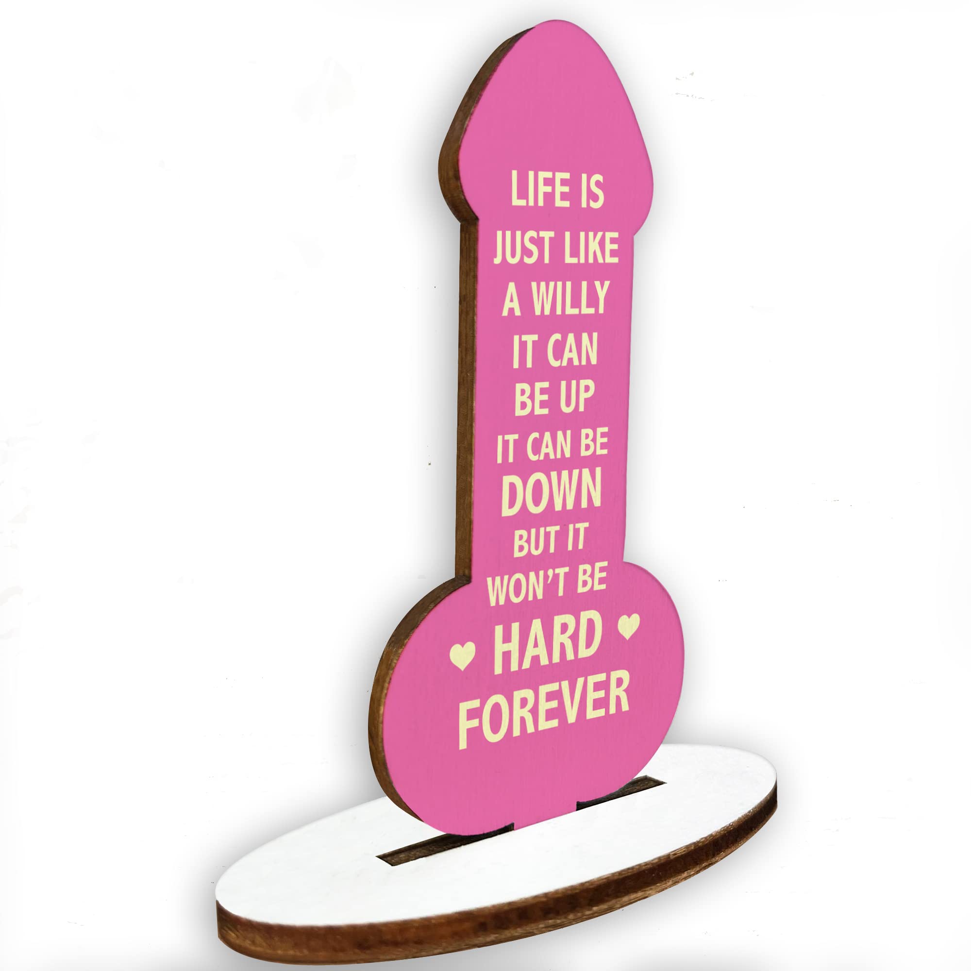 Red Ocean Motivational Plaque Funny Friendship Plaque Novelty Christmas Birthday Gift For Best Friend