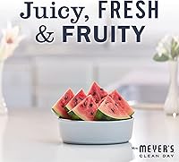 Vista 98 de Mrs. MEYER'S CLEAN DAY Foaming Hand Soap, Watermelon, 10 OZ. (Pack of 4)