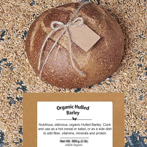 Image of Organic Hulled Barley Grain 2.8lb - Whole Barley Groat Seed Bulk | Great for Soup, Flour, Cereal, Home Brewing, Grinding - High in Fiber - USDA Certified | Vegan | Non-GMO