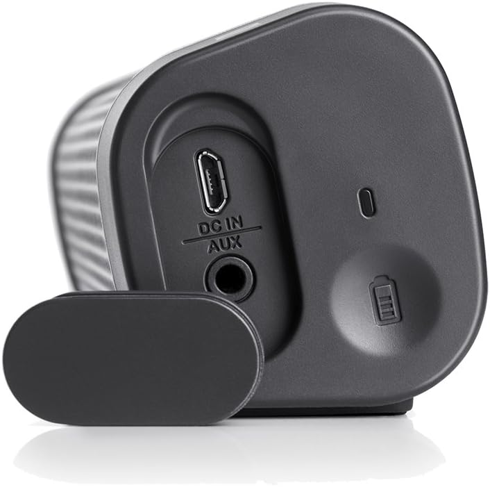 Denon Envaya Mini DSB-100BKEM Portable Premium Bluetooth Speaker, Black