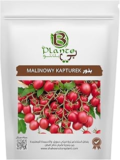 MALINOWY KAPTUREK SEEDS