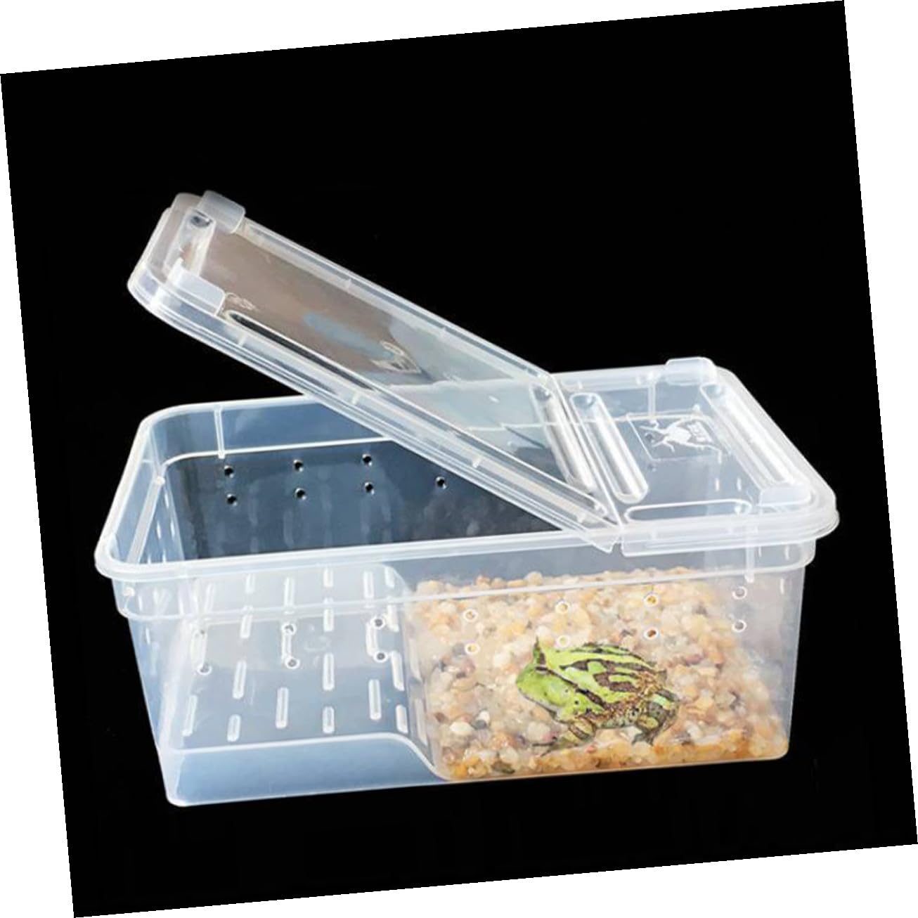 Box Tartaruga Terrario Anfibio con Piattaforma di Sole in Plastica | Area Osservazione Semplice Riposo e Alimentazione , Pendenza Adatta per Tartaruga e Testuggine