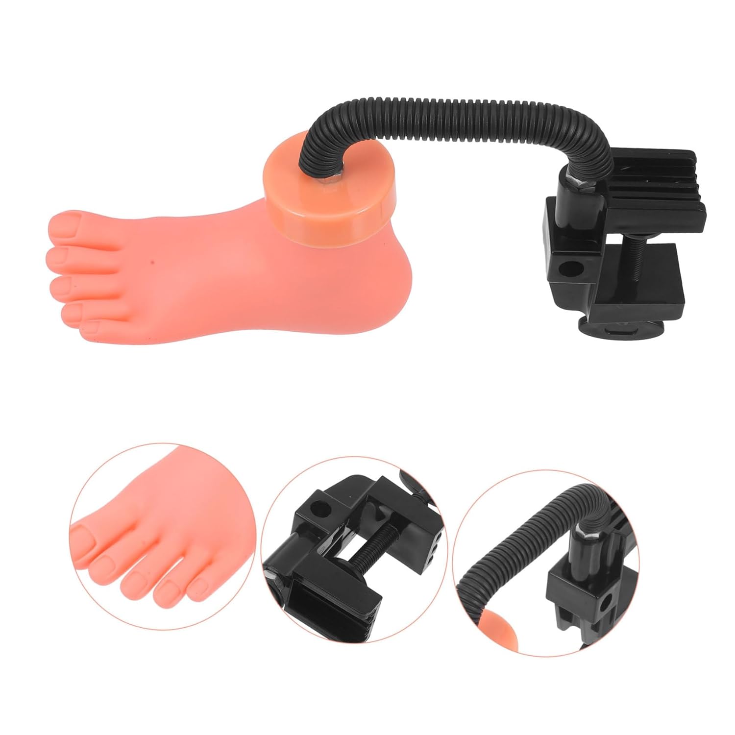 Foot Nail Practice Model Nail Tips Application Training Realistic Foot Model for Manicure