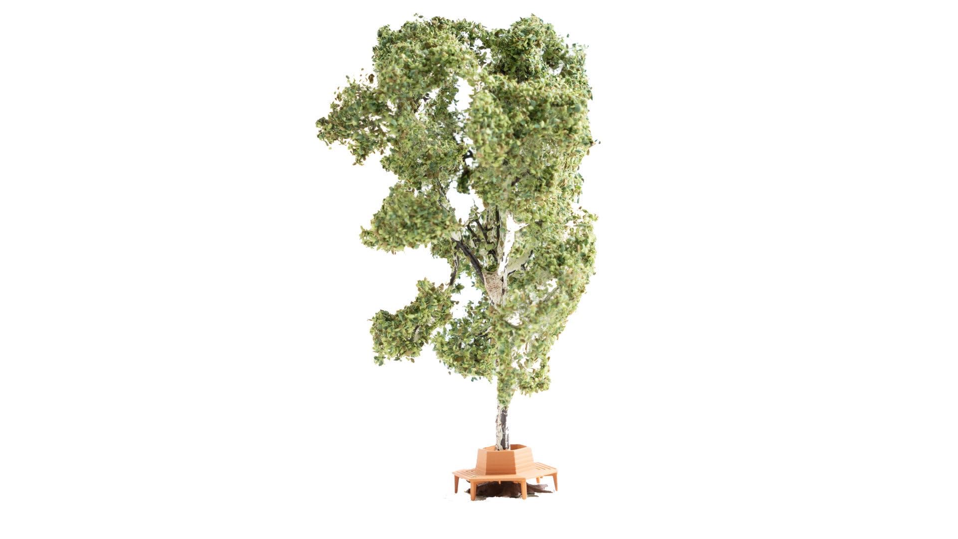 Noch 21642 Tree with Circular Bench Landscape Modelling