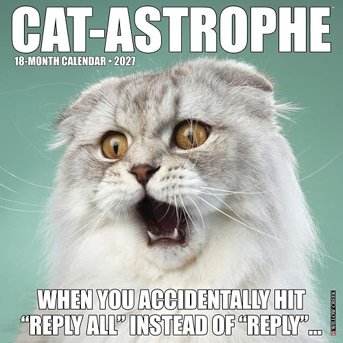 Willow Creek Press, Cat Astrophe 2027 Wall Calendar