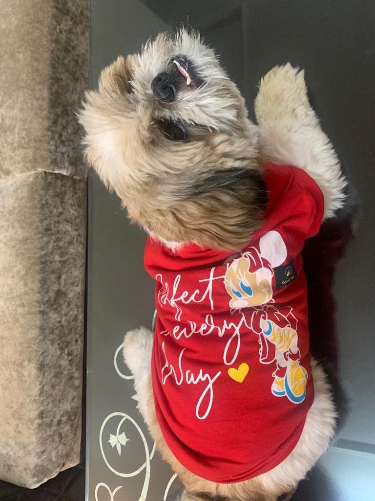 Golden Tails Printed Red T-Shirt for Dogs and Cats (Small 14") 1
