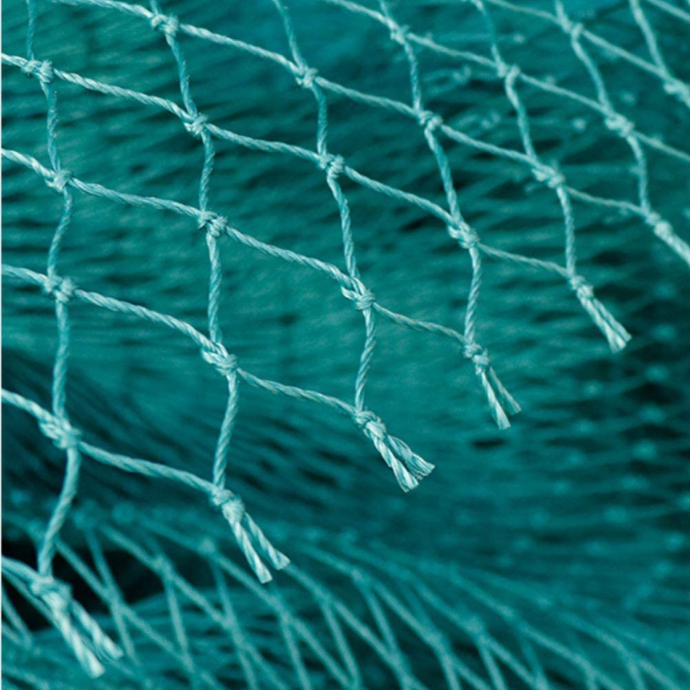 LYVQZPWLRRéseau anti-oiseau en nylon, Filet anti-oiseaux solide for jardin et cultures, clôture de protection, filet anti-oiseaux, cerfs, chats, chiens, poulets, filet de pêche, filet à volaille(5mx10