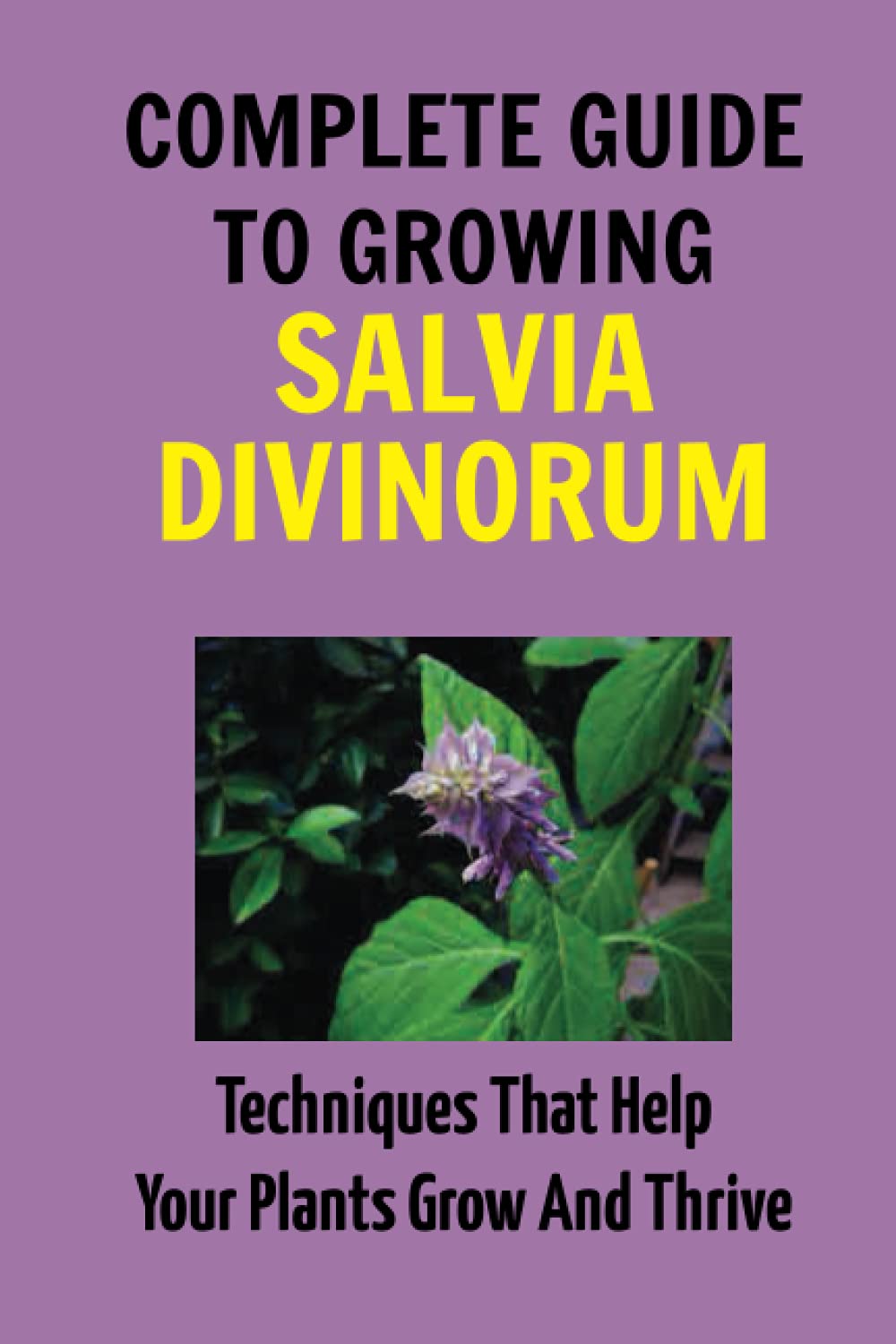 Buy Complete Guide To Growing Salvia Divinorum Techniques That Help