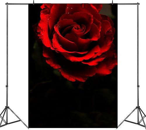 Telón de fondo de fotografía negro rosa roja de 5 x 7 pies para retrato abstracto, sesión de fotos negra, fondo de fotos para adultos, retrato de